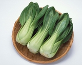 上海青、小唐菜